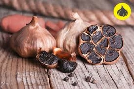 تصویر 3 از فروش سیر سیاه لاکچری کوین  + قیمت خرید به صرفه